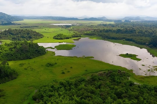 Đồng Nai khai thác thế mạnh văn hóa để phát triển bền vững khi “về chung nhà”