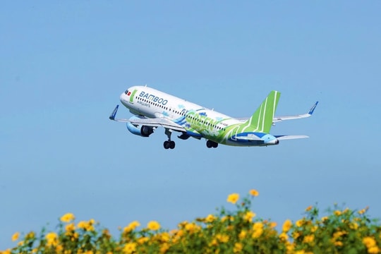 Bamboo Airways bầu bổ sung 2 thành viên hội đồng quản trị