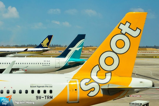 Thêm hãng hàng không Singapore mở đường bay thẳng đến sân bay Cam Ranh
