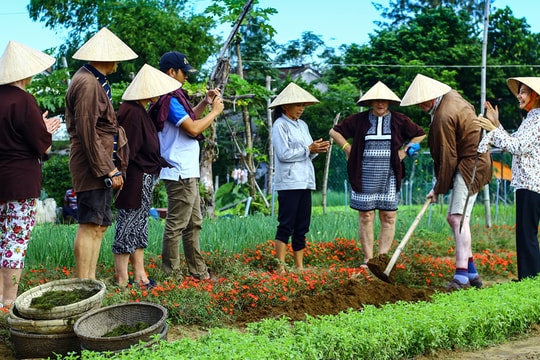 Về quê trải nghiệm – Du lịch nông nghiệp hút khách ngoại