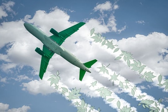 IATA: Chính sách SAF của EU đang phản tác dụng