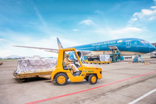 Vận tải hàng hóa hàng không bật tăng ngay từ đầu năm 2026