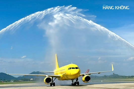 Vietravel Airlines sở hữu thêm tàu bay Airbus A320, chuẩn bị lấn sân mảng Air Cargo