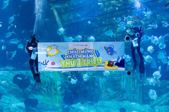 Thủy cung Lotte World Hà Nội: Hành trình vươn mình thành điểm đến giáo dục - giải trí hàng đầu sau 2 năm hoạt động