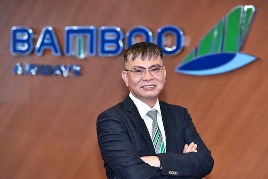 Tổng giám đốc Bamboo Airways Lương Hoài Nam xin từ nhiệm
