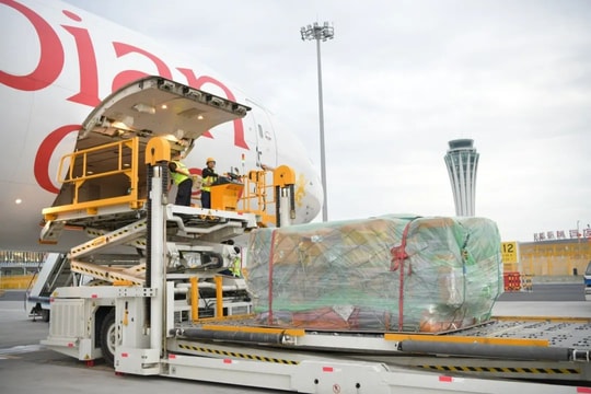 Tân Cương bùng nổ 'Đường tơ lụa trên không', hàng hóa tăng kỷ lục