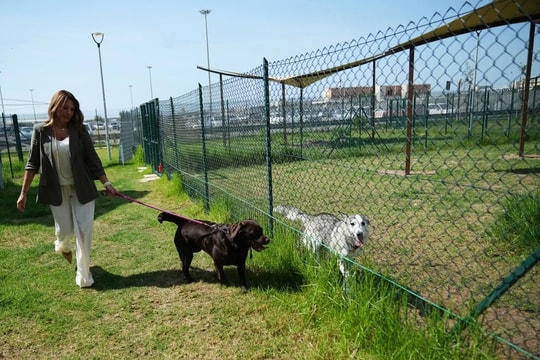 Sân bay mở khách sạn cao cấp dành cho chó cưng