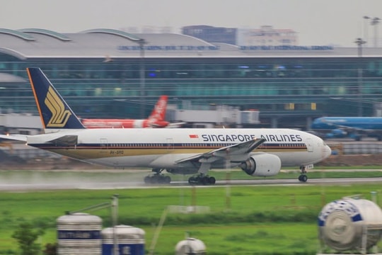 Vietnam Airlines và Singapore Airlines liên danh