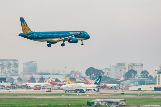 Nhiều hãng bay muốn 'miếng bánh' Air Cargo