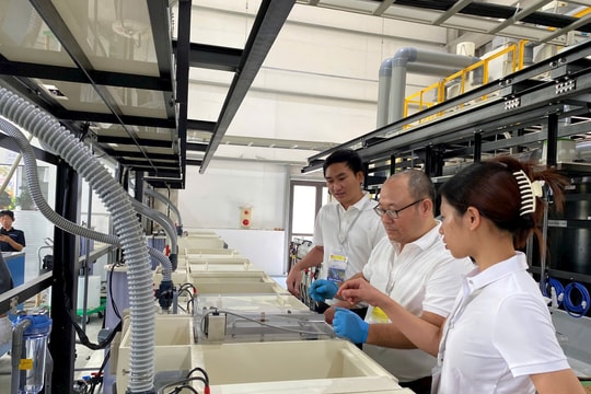 Cơ hội phát triển công nghiệp hàng không từ doanh nghiệp Nhật