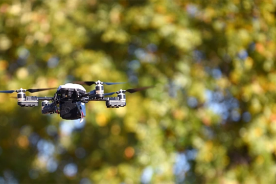 Việt Nam hội tụ nhiều lợi thế để trở thành trung tâm kinh tế tầm thấp