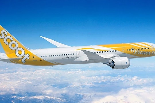 Scoot khai trương đường bay Singapore – Khánh Hòa, mở rộng kết nối quốc tế cho Cam Ranh