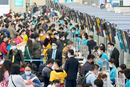 Giá vé máy bay ngày 7/12: Chặng ngắn ổn định, vé Tết tăng giá mạnh