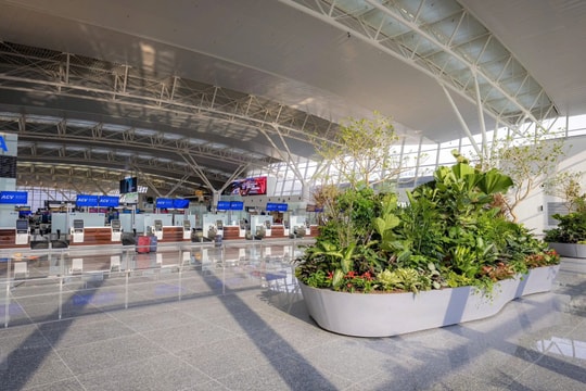 Chậu cây xanh tại nhà ga T2 Nội Bài mới trồng đã bị giẫm đạp, vứt rác