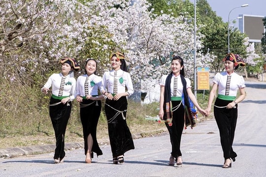 Vé máy bay đi Điện Biên khan hiếm dịp lễ hội Hoa Ban