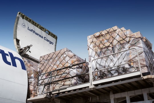 Doanh nghiệp logistics và xuất khẩu "đau đầu" vì vận tải hàng không khó dự đoán