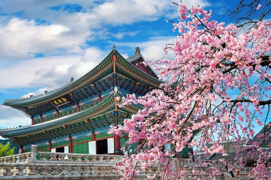 Hàng không Hàn Quốc cắt giảm chuyến, tăng giá vé đến Việt Nam