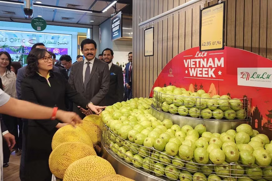 Triển khai chuyến bay thuê bao đưa nông sản Việt sang Trung Đông