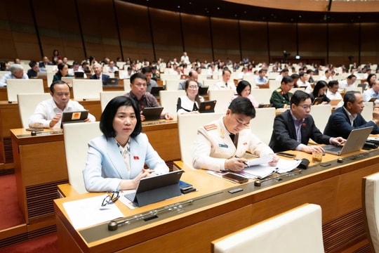 Đại biểu Quốc hội đề nghị Quốc hội giám sát dự án sân bay Long Thành