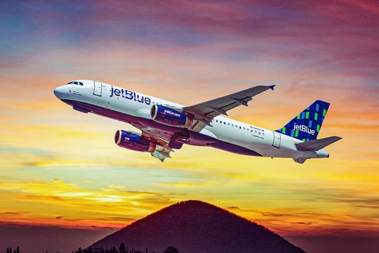 Hành khách phát hiện chuột trên máy bay của hãng JetBlue