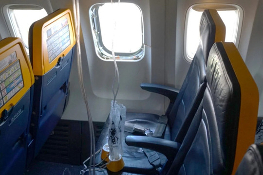 Từng phát hiện xác chim trong động cơ Boeing 737 gặp sự cố của Ryanair