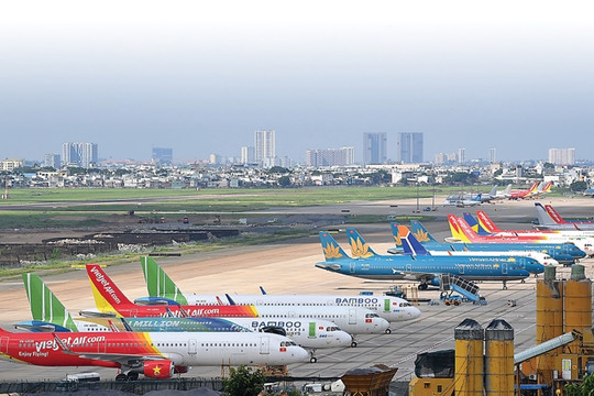 Quy mô đội bay của các hãng hàng không Việt Nam