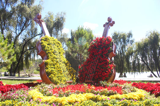 Lâm Đồng 'đếm ngược' Festival Hoa Đà Lạt 2026