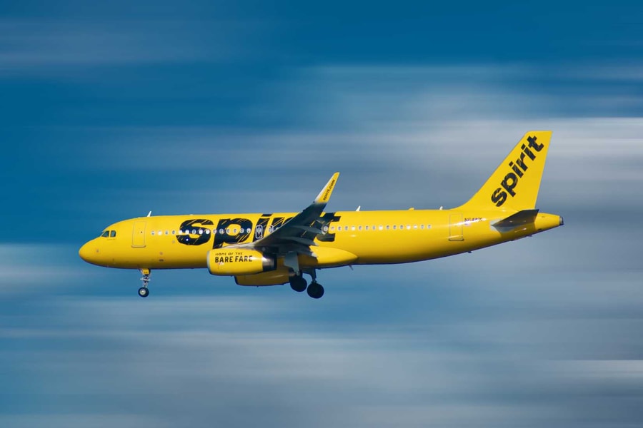 Máy bay Spirit Airlines phải dừng hoạt động sau va chạm với chim
