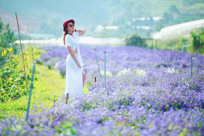 Cảng hàng không Liên Khương sẵn sàng cho Festival Hoa Đà Lạt 2024