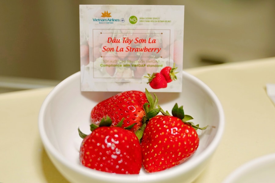 Dâu tây Sơn La 'cất cánh' cùng Vietnam Airlines