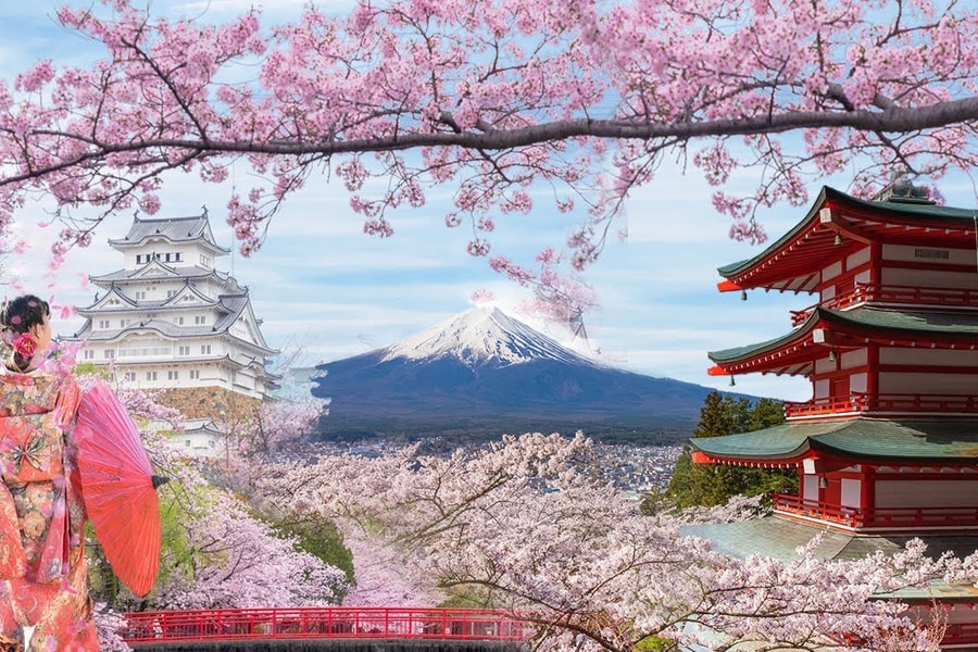 Lạc bước giữa mùa xuân rực rỡ tại 3 điểm ngắm hoa anh đào Nhật Bản