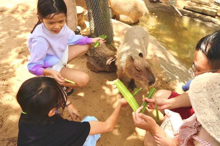 Lạc vào thế giới động vật siêu dễ thương tại Thảo Cầm Viên