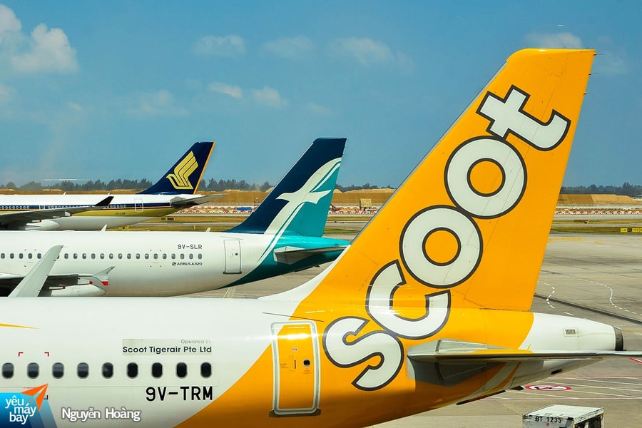 Thêm hãng hàng không Singapore mở đường bay thẳng đến sân bay Cam Ranh