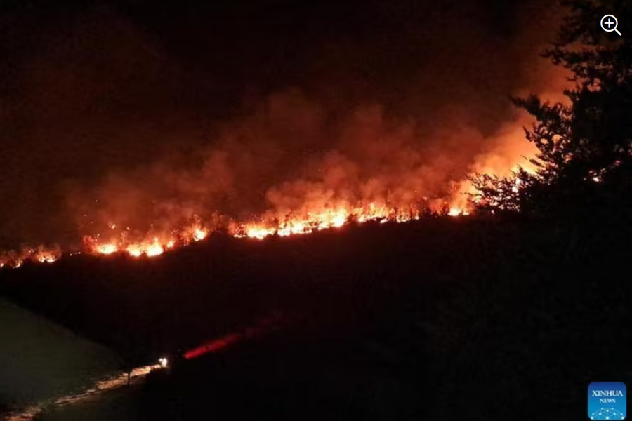 Cháy rừng lịch sử tại Serbia: Du lịch lao đao, hàng không vào trận