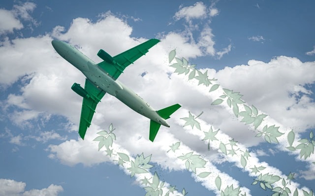 IATA: Chính sách SAF của EU đang phản tác dụng