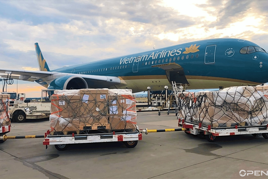 Vận chuyển hàng không tăng trưởng, Noi Bai Cargo lập kỷ lục lợi nhuận, Saigon Cargo lãi khá