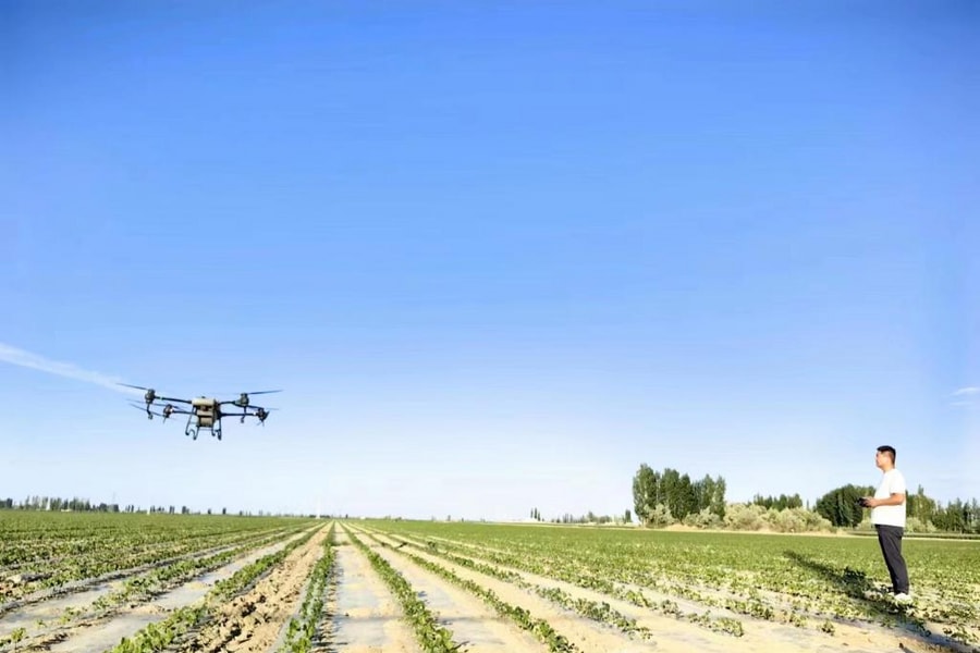 Khi UAV phủ kín đồng ruộng Trung Quốc