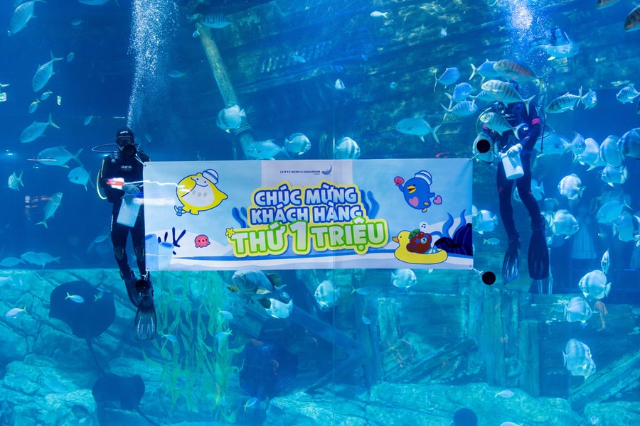 Thủy cung Lotte World Hà Nội: Hành trình vươn mình thành điểm đến giáo dục - giải trí hàng đầu sau 2 năm hoạt động