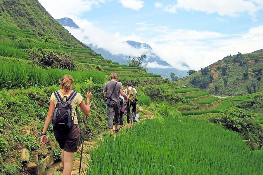 Du lịch tái tạo: Hành trình “chữa lành” môi trường và làm mới trải nghiệm