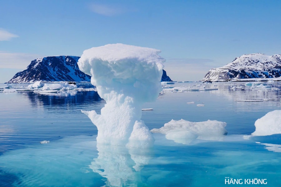 Chiêm ngưỡng gấu trắng, săn cực quang ở vùng Bắc Cực