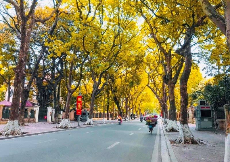 Gợi ý 10 điểm check in 'đẹp nao lòng' vào mùa thu ở Hà Nội