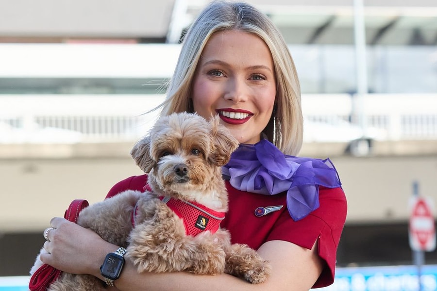 Virgin Australia tiên phong cho phép thú cưng cùng chủ lên máy bay
