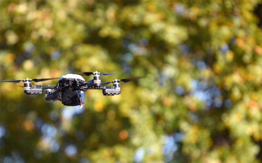 Việt Nam hội tụ nhiều lợi thế để trở thành trung tâm kinh tế tầm thấp