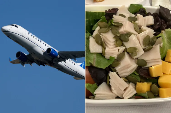 United Airlines hứng chỉ trích vì suất ăn hạng nhất 'như thịt in 3D'