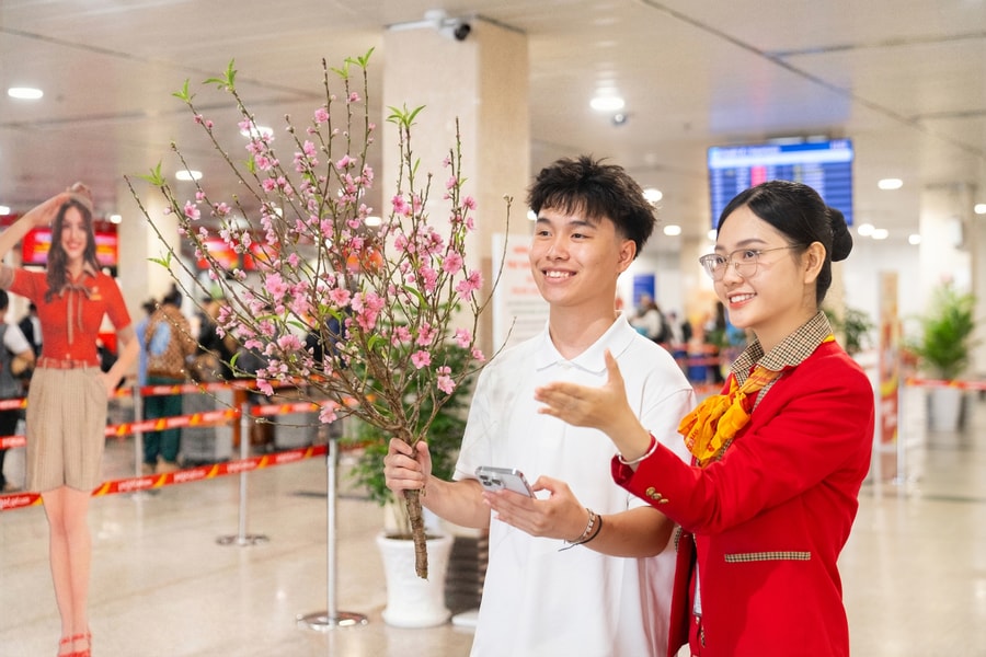 Mức phí vận chuyển mai, đào bằng đường hàng không dịp Tết