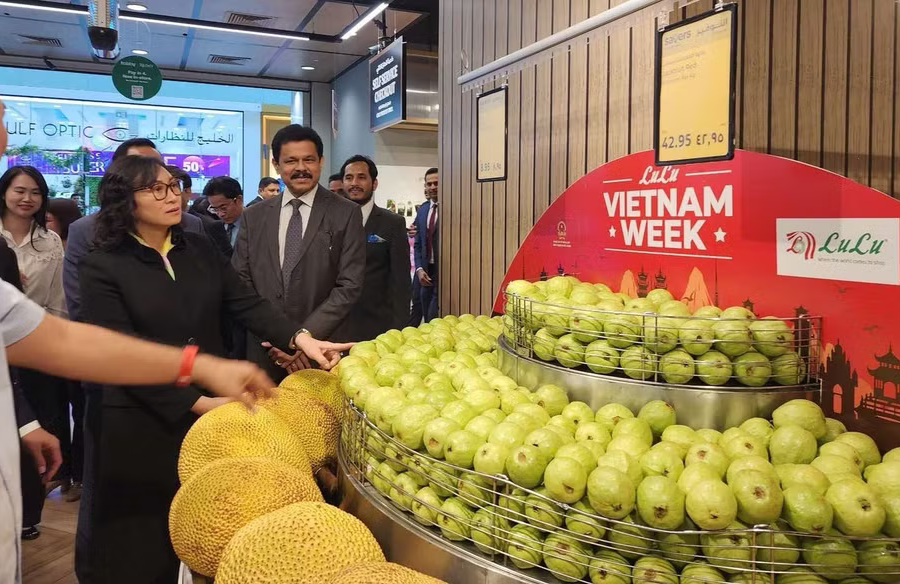 Triển khai chuyến bay thuê bao đưa nông sản Việt sang Trung Đông