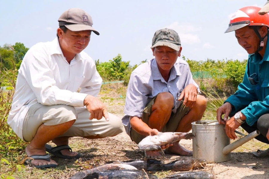 UBND Cà Mau yêu cầu khắc phục ngay việc thi công sân bay làm chết cá của dân