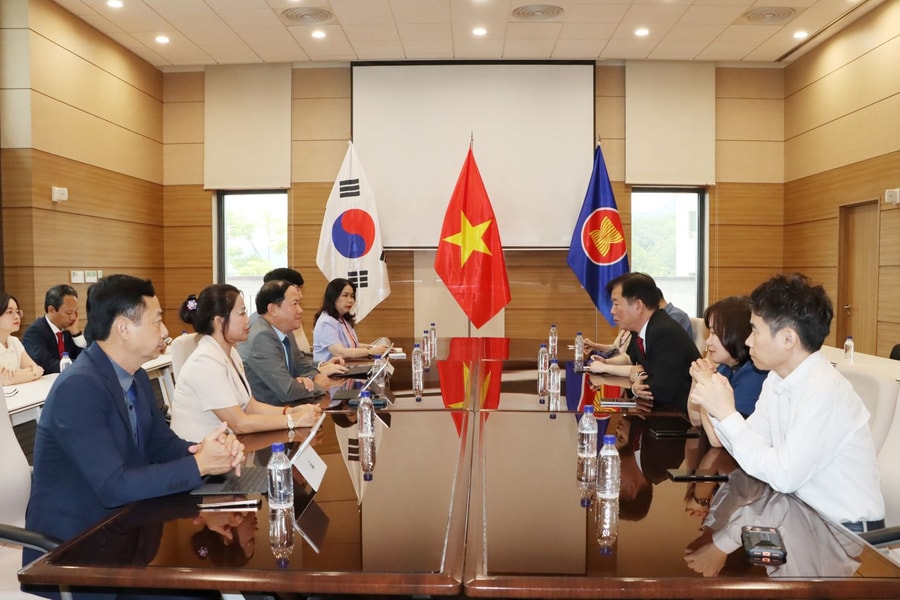 Gia Lai xúc tiến mở đường bay Seoul - Quy Nhơn thu hút khách Hàn Quốc